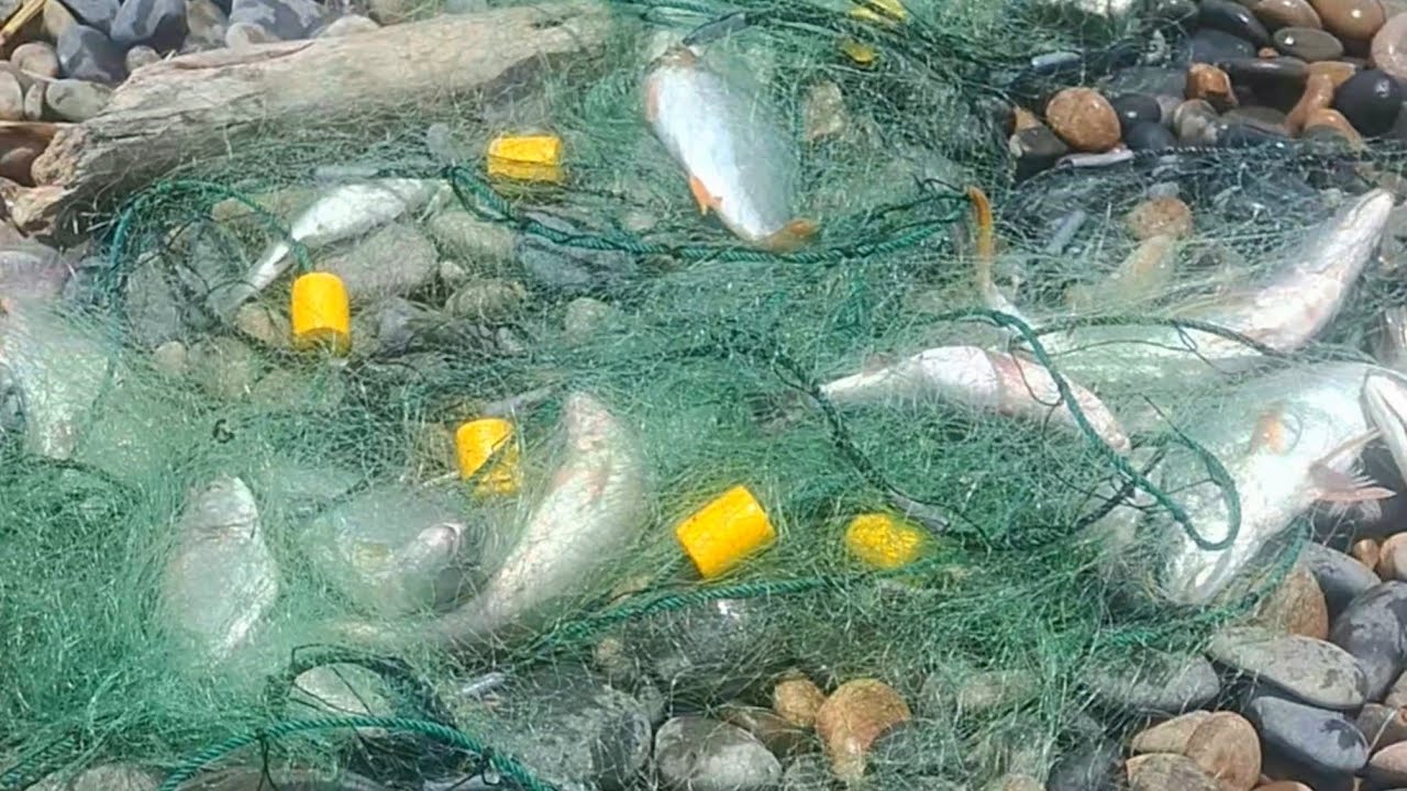  Hombre se llevó una gran Sorpresa al Sacar su Red Impresionante 