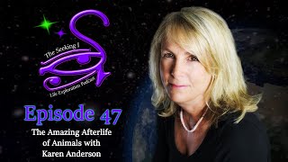 Seeking I / The Amazing Afterlife of Animals with Karen Anderson