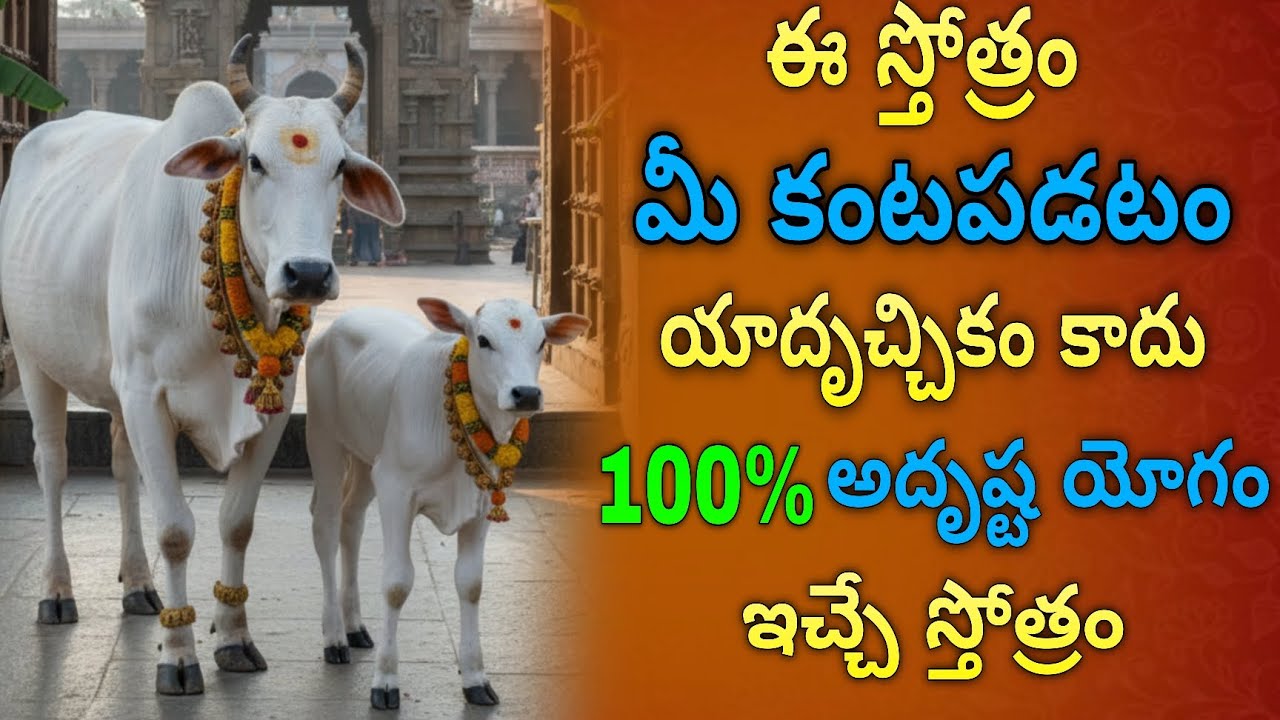 ఈ స్తోత్రం మీ కంటపడటం మీ అదృష్టం | 100% అదృష్ట యోగం పట్టడానికే మీకు కనిపించింది #gomata 