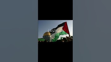إلا ان نصر الله قريب ياسر الدوسري سورة البقره فلسطين-غزه اللهم انصرهم❤️🤍