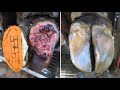 Cow Hoof RESTORATION | Satisfying | The Hoof GP