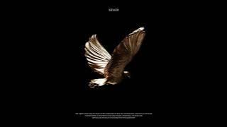 Legacy (prod. SEVER)