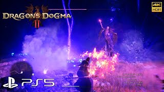 Dragon's Dogma 2 - Hunting Wight - Undead Sorcerer (Craos Tine & Black Crystal)