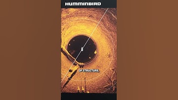 What is MEGA 360 Imaging? #Sonar #Fishing