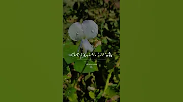 قرآن اكتب شي تؤجر عليه 