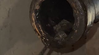 HOW TO: Use a Drain Auger (Tons of Wipes in the Line!) by 1 Tom Plumber 310 views 1 year ago 1 minute, 7 seconds