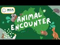MIA Australian Discovery Tour Animal Encounter MIA Australian Discovery Tour Animal Encounter