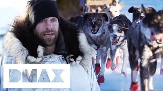 Braving Extreme Weather To Train Adorable Alaskan Dogs Life Below Zero