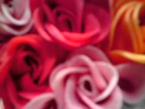 春天來了 喜氣洋洋 过个快乐年