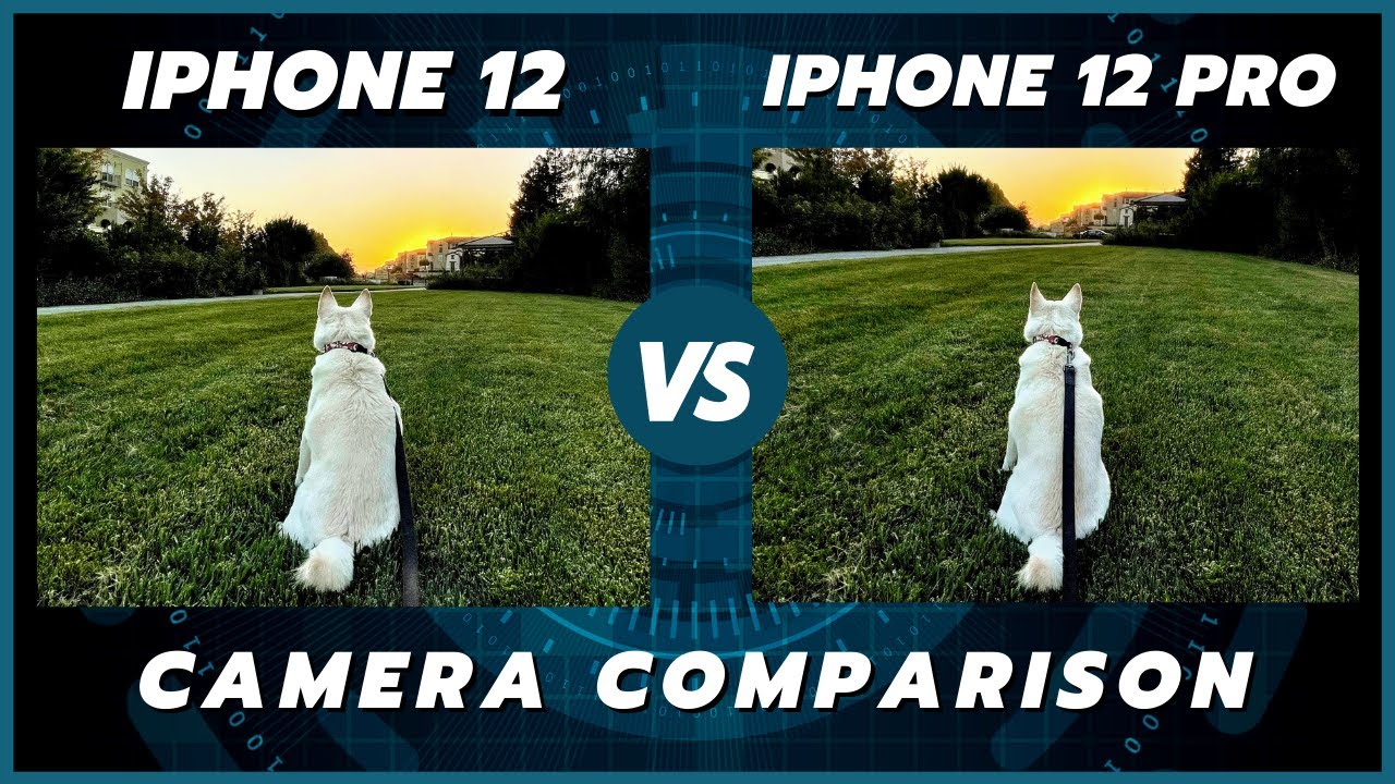 Iphone12とiphone12proを徹底比較 実際に使って分かった後悔しない選び方を伝授 Iphone大陸 Iphone12とiphone12proを徹底比較 実際に使って分かった後悔しない選び方を伝授 Iphone大陸
