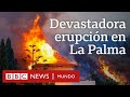 La Palma: la lava arrasa con decenas de casas tras la erupción de un volcán en las Islas Canarias