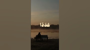 فَضَرَبْنَا عَلَىٰ آذَانِهِمْ فِي الْكَهْفِ سِنِينَ عَدَدًا #قران #quran #سوره_الكهف #علي_جابر