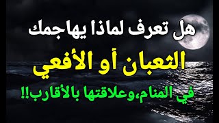 تفسير رؤية الثعبان في المنام، هل تعرف لماذا يهاجمك الثعبان أو الافعي في الحلم وعلاقتها بالاقارب!!