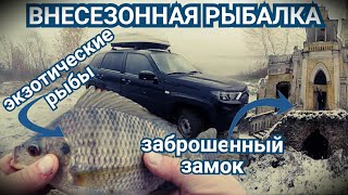 На Рыбалку на Новой Lada Niva Travel/Первый Дальняк 500 км/Экзотические Рыбы и Старинный Замок