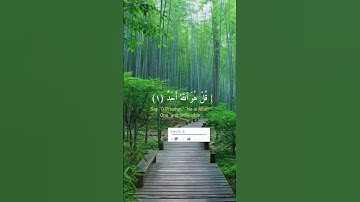 سورة الإخلاص بصوت هادئ وجميل #قرآن #تلاوة_خاشعة #الشيخ #