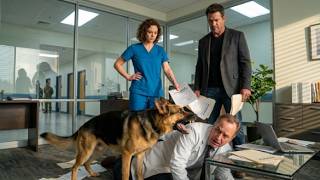 The K9 Shielded the Wounded Operator Fiercely—Until the Nurse's Scars Revealed Everything