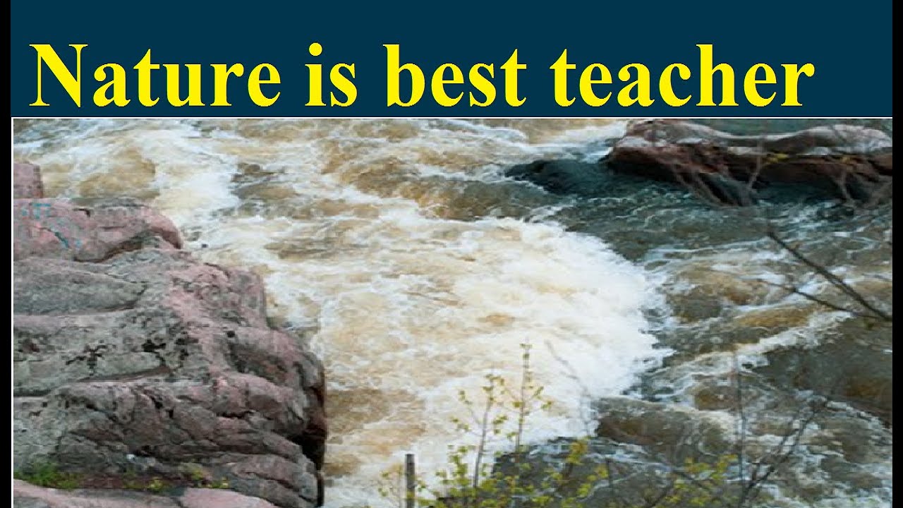 essay on nature the best teacher