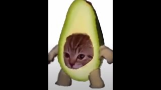 what da avocado lookin