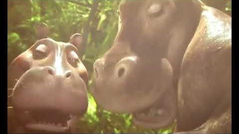 Pro Display Soundvision Pro Front Projection Screen