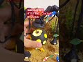 詳しい作り方は本編動画で公開中 #ピクミン #ダイソー #pikmin