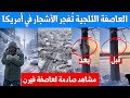 العاصفة الثلجية ت فجر الأشجار في أمريكا مشاهد صادمة لانكسار الأشجار وتحول البحيرات الى جليد 