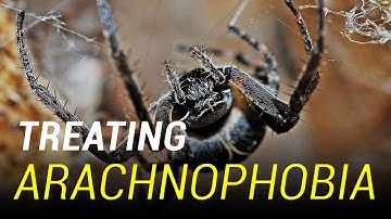 Treating Arachnophobia (Spider Phobia)
