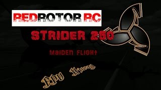 RedRotorRC Strider 250 - maiden flight