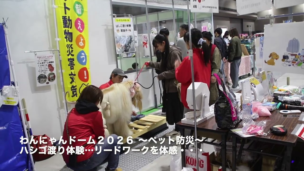 わんにゃんドーム２０２６ペット防災＆コングで遊ぼう!編