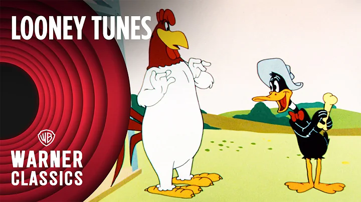 Looney Tunes | Classic Daffy Duck Compilation | Warner Classics
