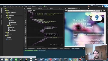 Angular JS Building the Template