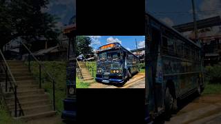 තර කමර Tharu Kumari Na 7740