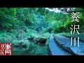 【自然浴60分】養沢川 / 東京都あきる野市