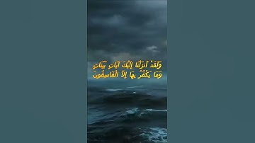 سورة البقرة اية 99 - مع صوت البحر بصوت جميل - وَلَقَدْ أَنزَلْنَا إِلَيْكَ آيَاتٍ بَيِّنَاتٍ