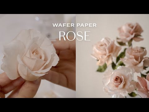 Wafer Paper Conditioner Recipe: How to condition Wafer Paper? Water, V –  Winifred Kristé Cake & Classes