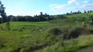 334 Bosques Lagos, ganado Chile X Región
