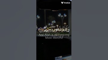 أفلا يتوبون إلى الله 🌿 سورة المائدة القارئ عبد الرحمن مسعد