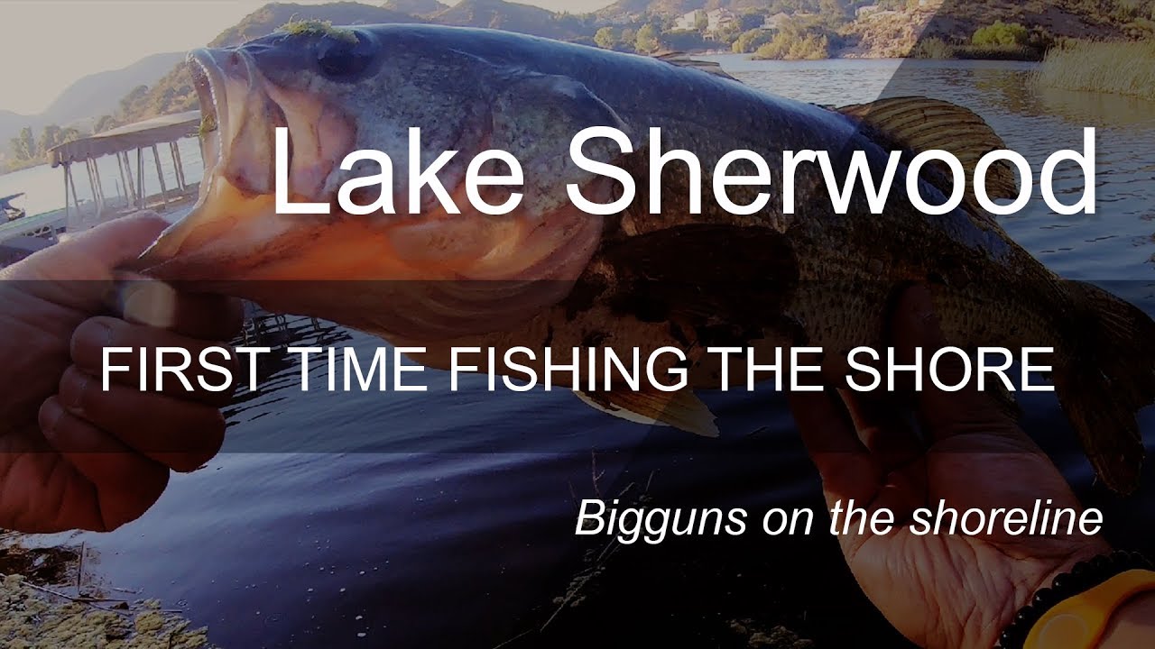 First Time Fishing the Shore at Lake Sherwood July 2019 Cinematic