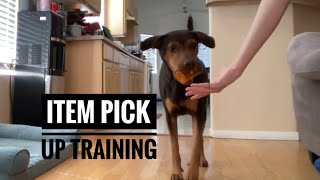 How to train your dog to pick up items