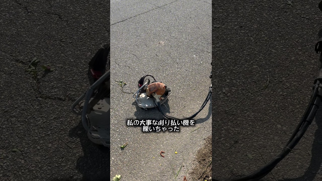私の大事な刈り払い機を轢いちゃった#shorts #農業 #佐渡 #農家 #米作り #仕事 #作業 #5月 #田んぼ #田舎 #破壊 #草刈り #田植え #お米 #米 #コメ #やらかし #故障