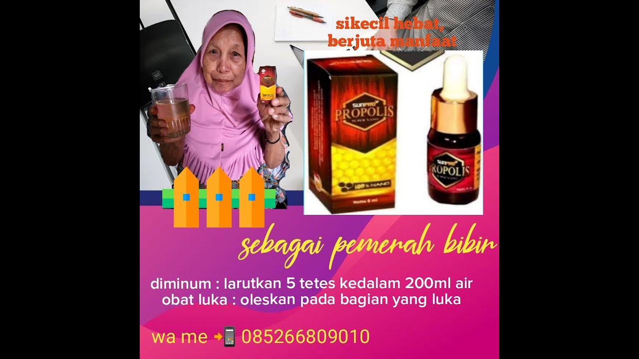 SUNPRO propolis NASA #sarwonokinali - YouTube