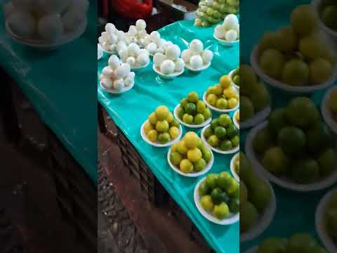 mercado de Chilapa de Álvarez #2023 #video #travel #viral #culture #mexico #artesanal #mercado