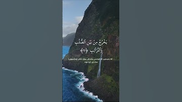 سوره الطارق كاملة . محمد اللحيدان