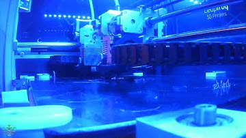 2 color tree frog dual extrusion