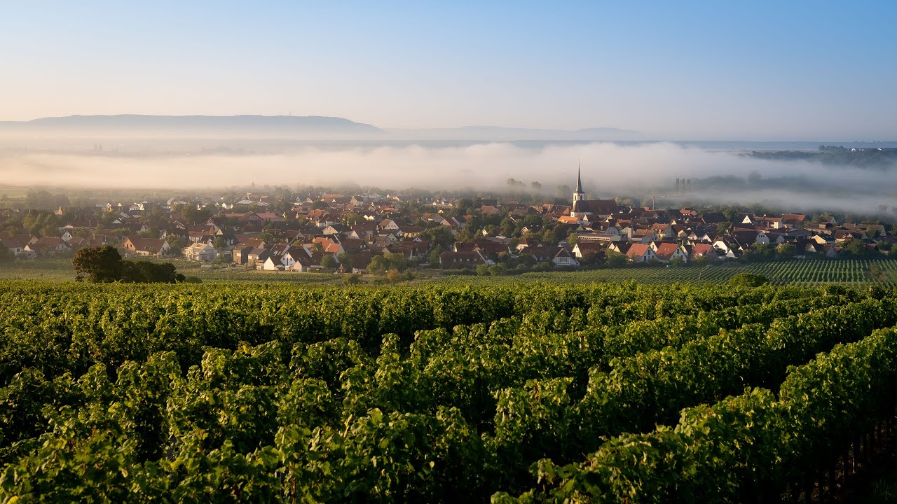 Summerie Aktuell - August / September 2023 - Fährhaus wird abgerissen🏚️
