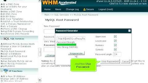 How to change the root MySQL password in WHM