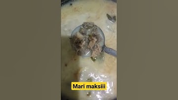 gulai sapi susu mantap