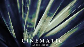 Ambient Acoustic Music 무료 배경음악 잔잔한 브금 "Last Dream" 감성적인 조용한 BGM - AUDIOxCHANGE Royalty Free Music screenshot 1