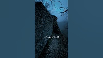 سوره الإنسان #قرآن #قران_كريم #الشيخ_ياسر_الدوسري #مكة_المكرمة #راحة_نفسية