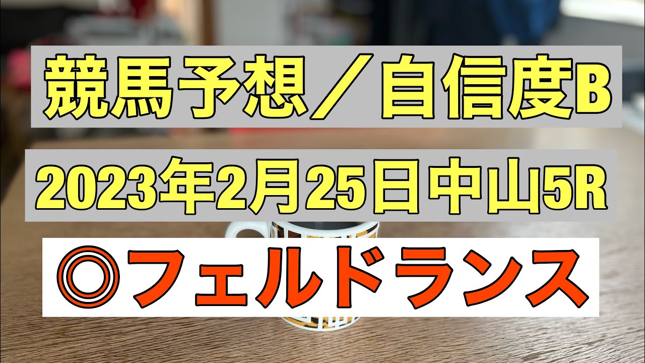 フェルドランのリーフレット