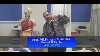 Postural drainage for physical therapy students and chest physical therapists part 1 screenshot 4